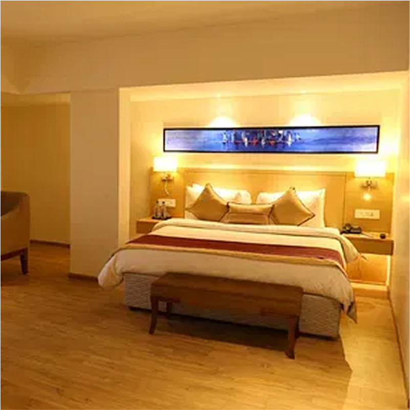 Our Gallery